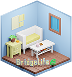 BridgeLife
